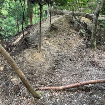 てんこ山付近は少々道が荒れ気味