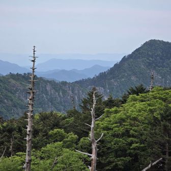 釈迦ヶ岳への稜線