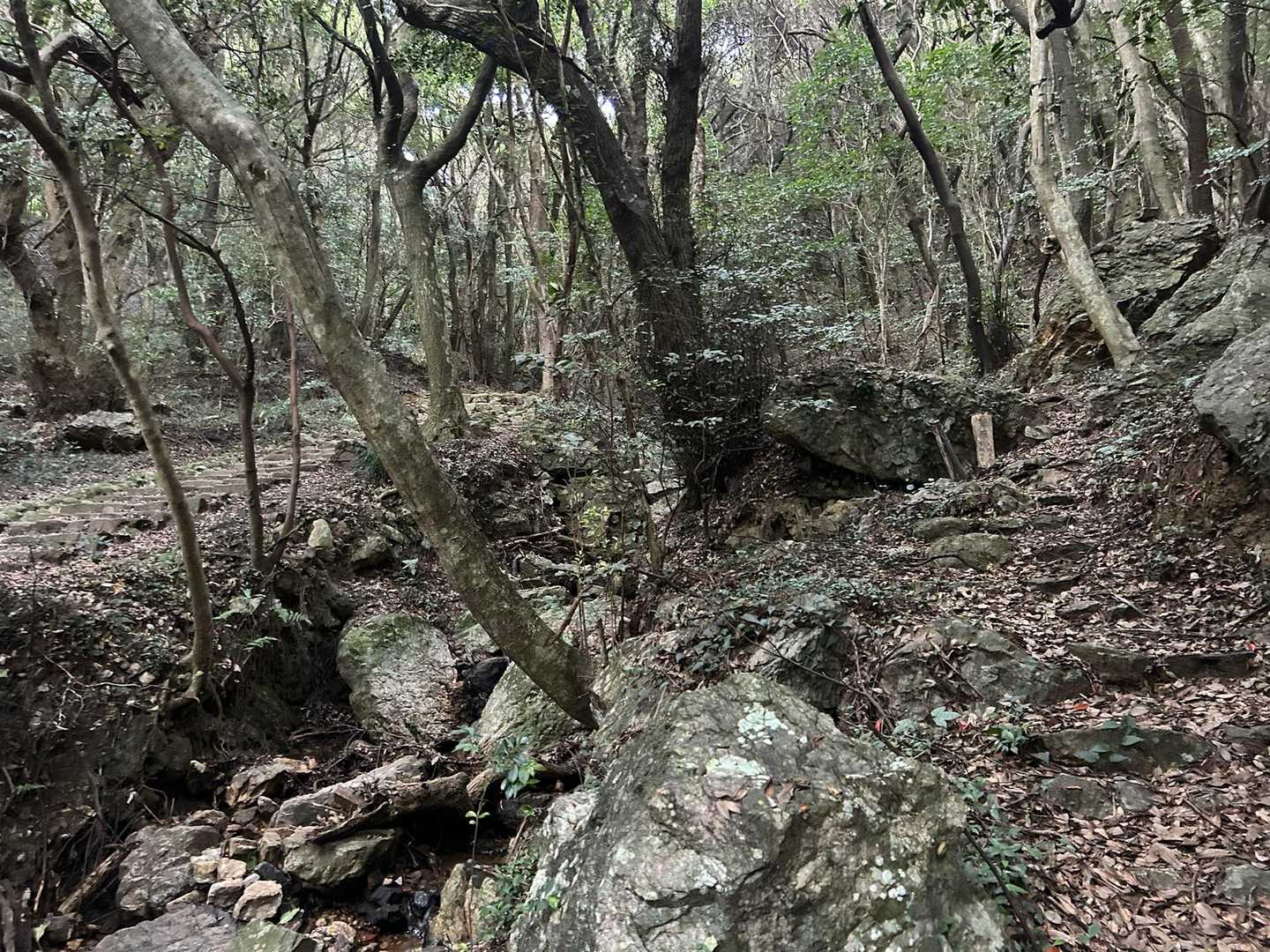 昔、展望台まで車で来たことはあるけど
登山道はなかなか険しいんだねぇ‥