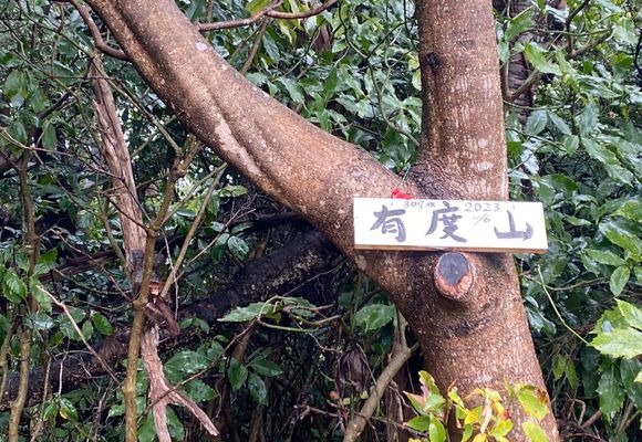 有度山（静岡・307m）| 登山ルート・天気 | YAMAP / ヤマップ
