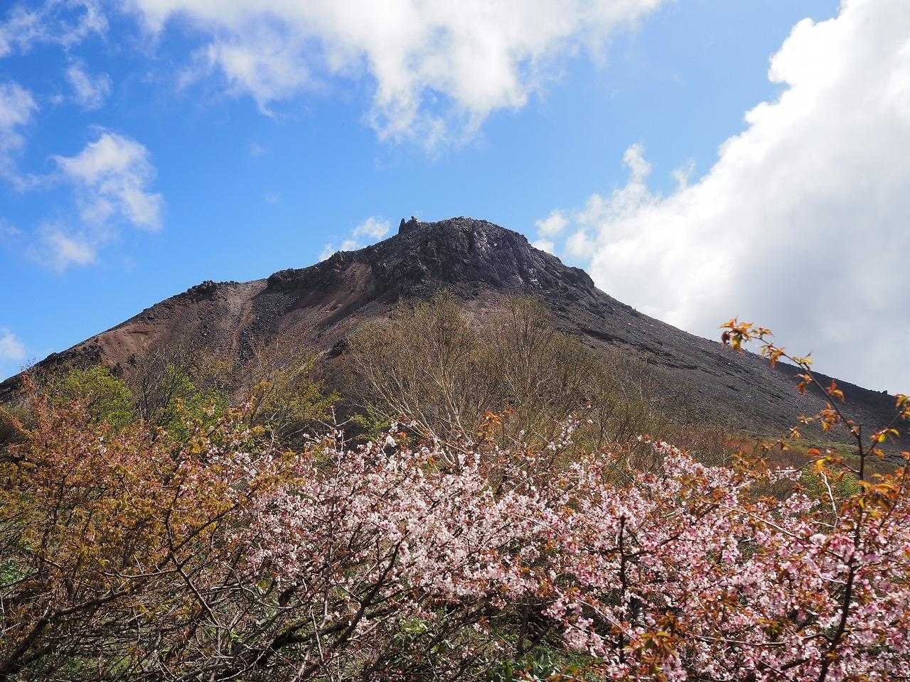 山山 南月山🌸🥰 / hama🌟lionの登山データ | YAMAP / ヤマップ