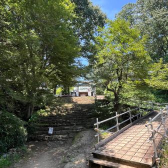 KIKOさんとはお別れ👋
せっかくここまで来たので、ひとりで山頂を目指します