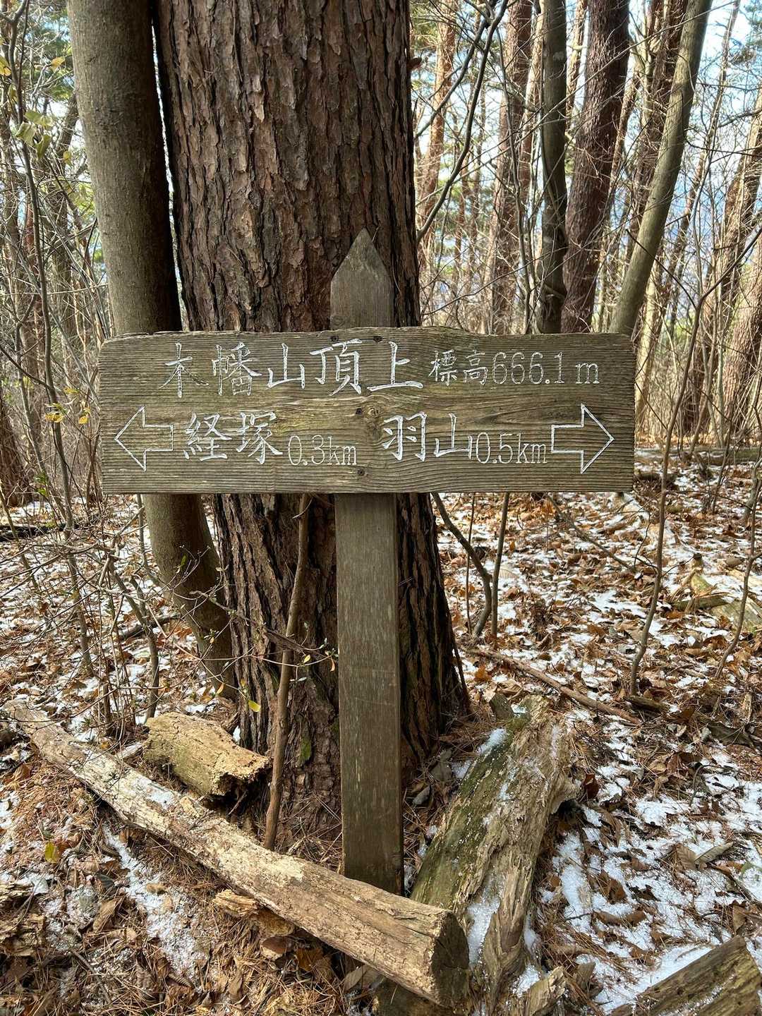 山頂到着 
展望はありません
この先の羽山まで向かおうと進みましたが
あまりの寒さに撤退しまーす😓