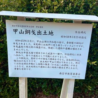 「銅戈（どうか）」とは、弥生時代に中国大陸から朝鮮半島を経て日本に伝わった青銅製の武器で、長柄の先端に刃を直角につけた形状が特徴です。日本では次第に実用性から離れ、大型化して祭器（祭りの道具）として使われるようになり、北部九州や大阪湾岸などで多く出土しています。 