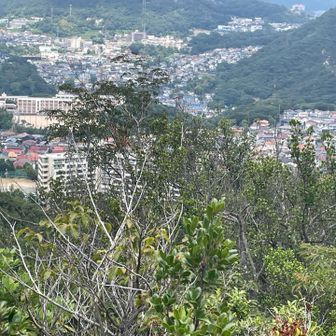 すぐ下は住宅地