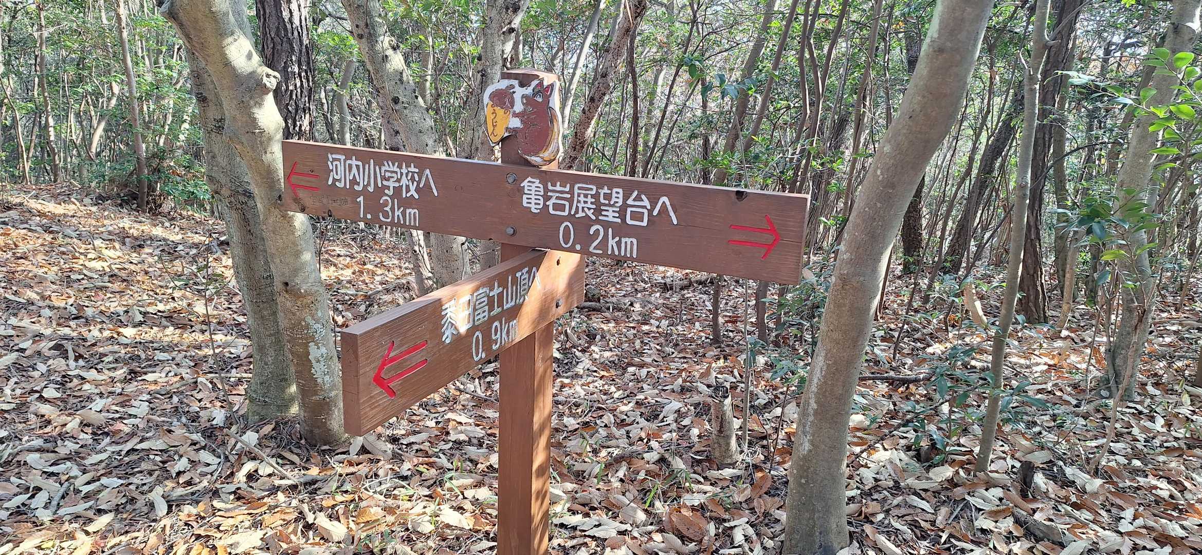 地図見て良かった、河内小学校方面ですよ😅