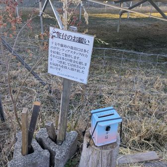 募金もしてきました。