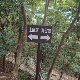 ロープウェイ側との合流地点