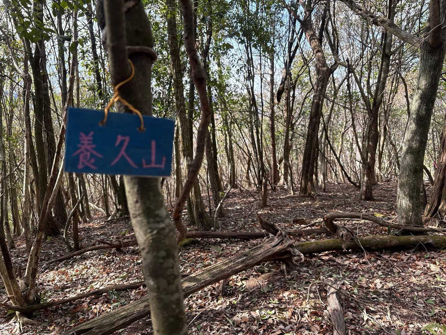 山頂看板🪧