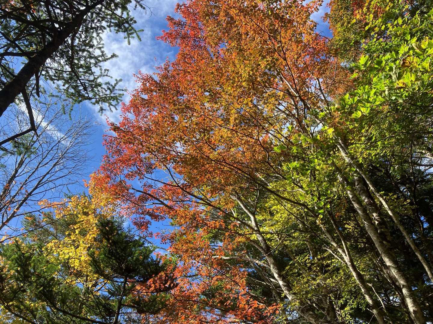 一里観音-白泰山 往復コースの写真