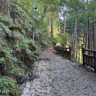分岐を右へ
表参道を離れ荒川右岸の遊歩道を歩き裏参道に向かいます