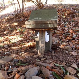 祠があって丁重に祀られてた