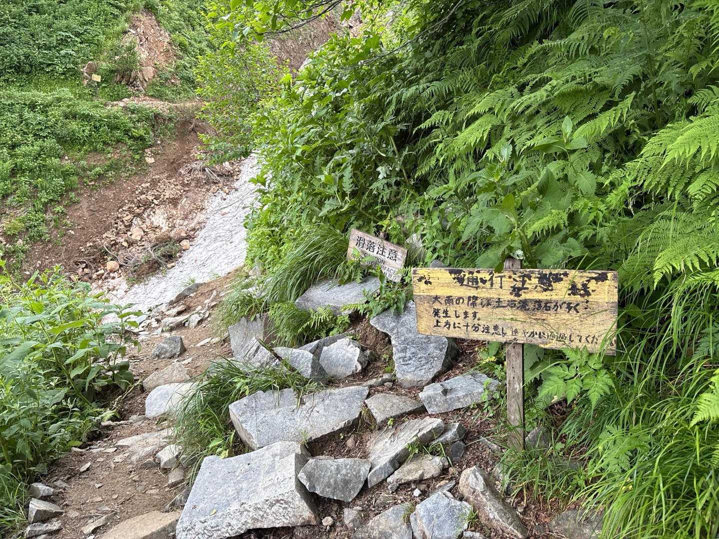 柏原新道登山口-爺ヶ岳-爺ヶ岳-布引山 往復コースの写真