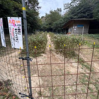 係の方も帰られ、誰も居なくなりました。
最後の人は戸締りをしてくださいとのことでした😊しっかり括りました🐗🙅‍♀️

帰りに2台の車が上がってきたので、まだ来られる人もいるのかな？