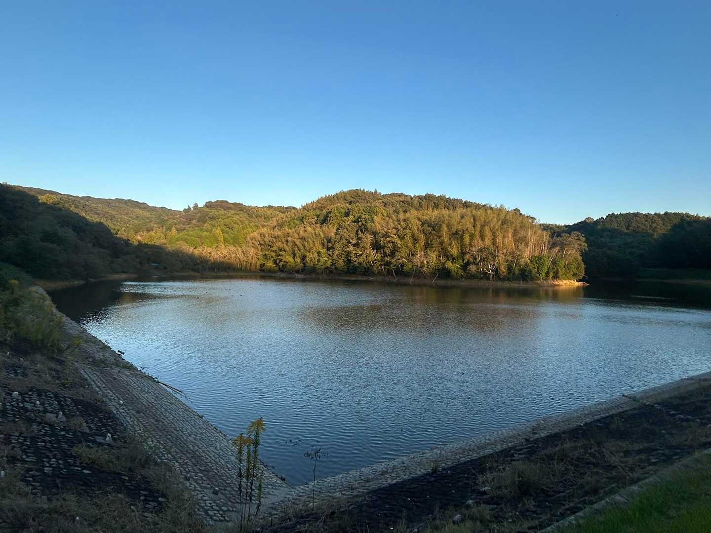 快晴無風🏃‍♂️めっちゃ気持ちいい👌