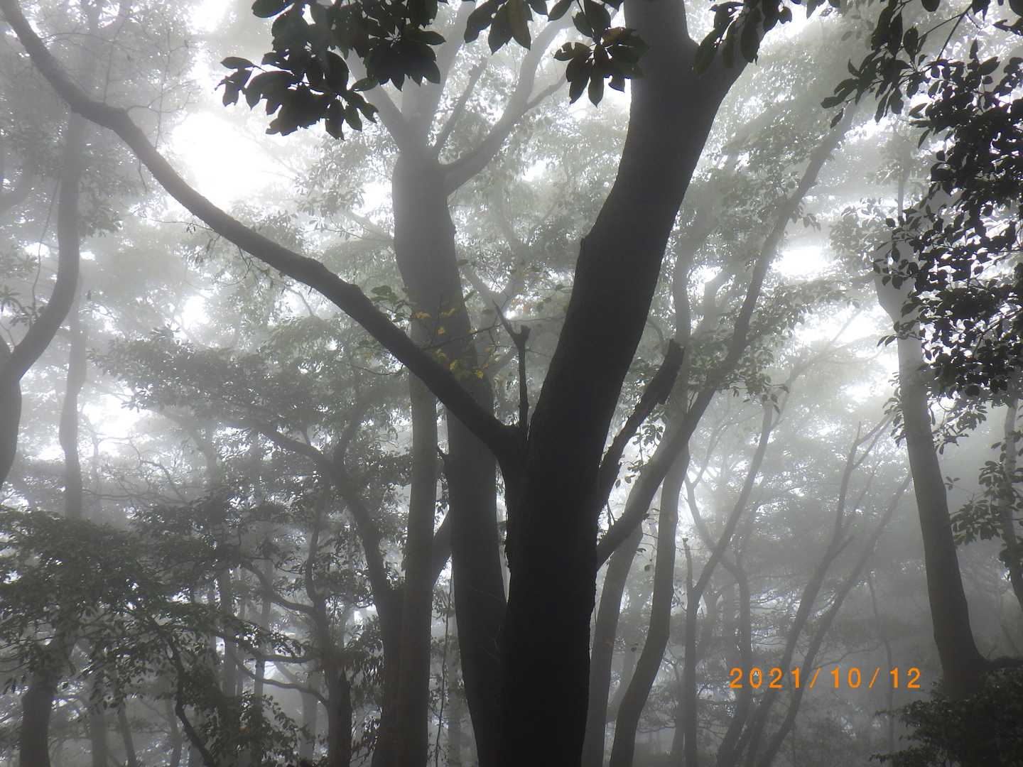 城山 周回コースの写真