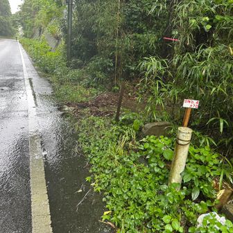 再び登山道へ