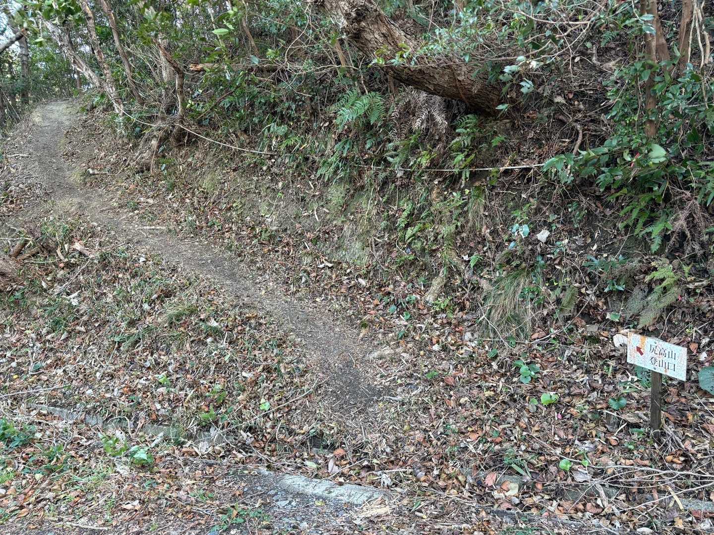 舗装路林道から鋭角に曲がって、山道に入ります