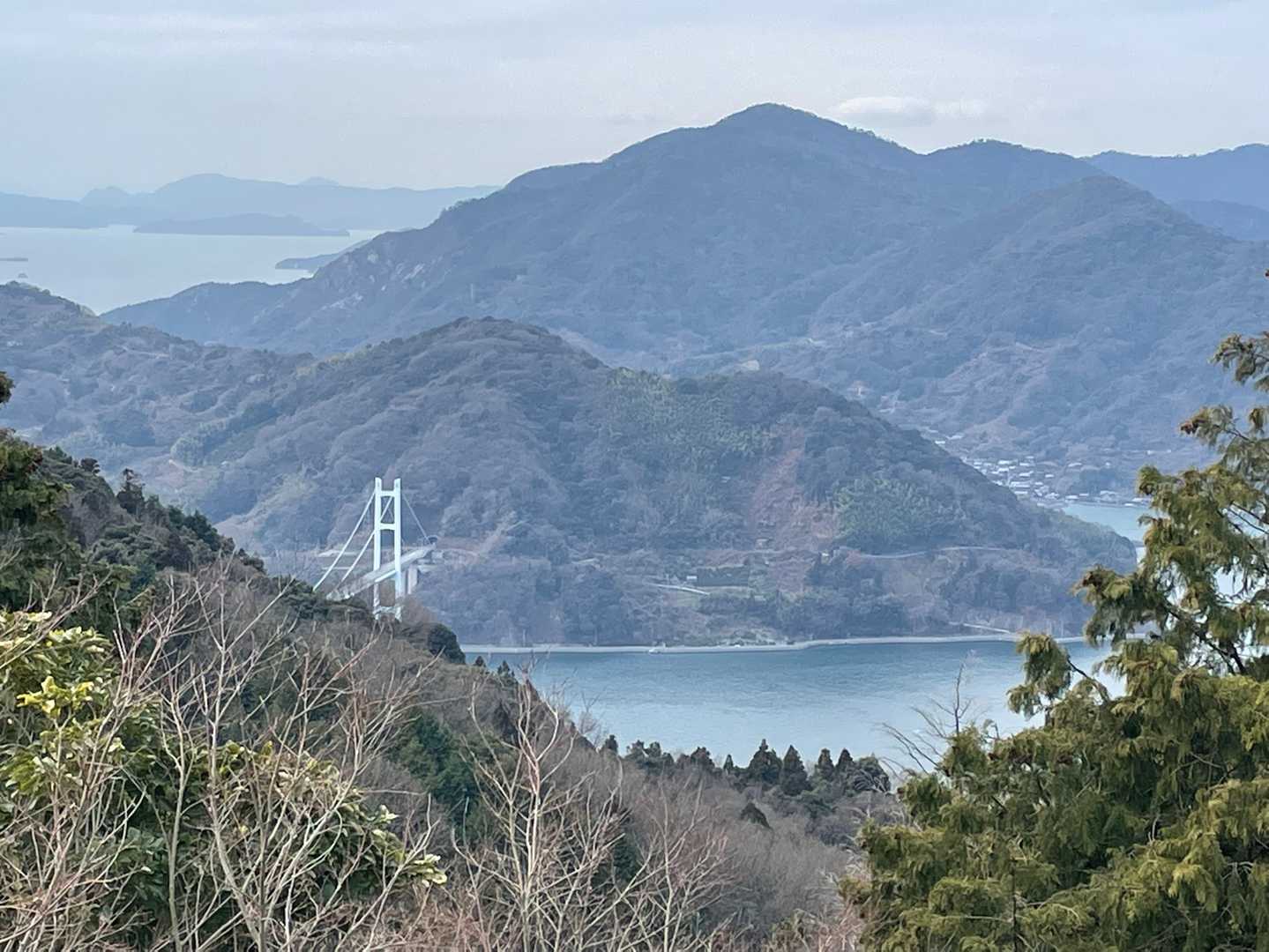橋が少し見えます