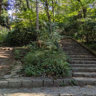 右階段登ります💨
あえての累積稼ぎ😆