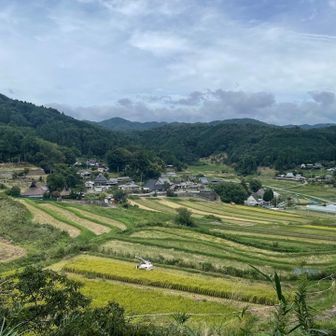 長谷の棚田が現れました。
田植え前くらいが1番綺麗なのかな？
でも今でもめっちゃ綺麗な景色でした☺️✨
