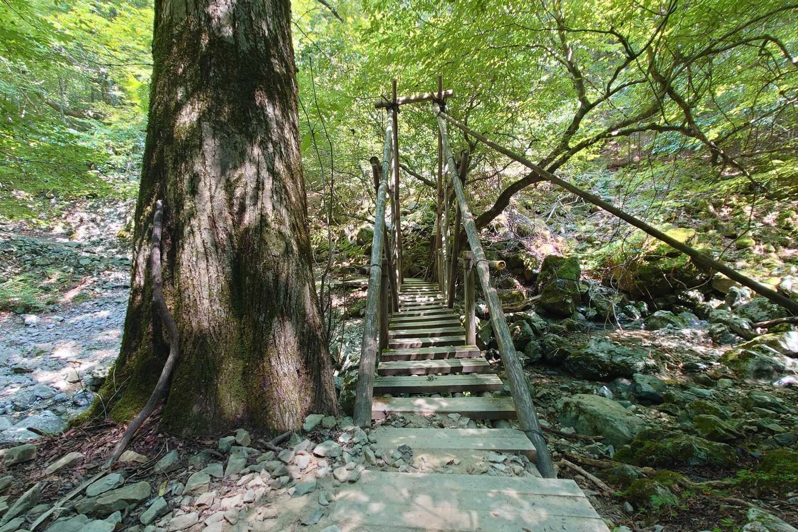 橋まで降りてきたー
あと少し💦
