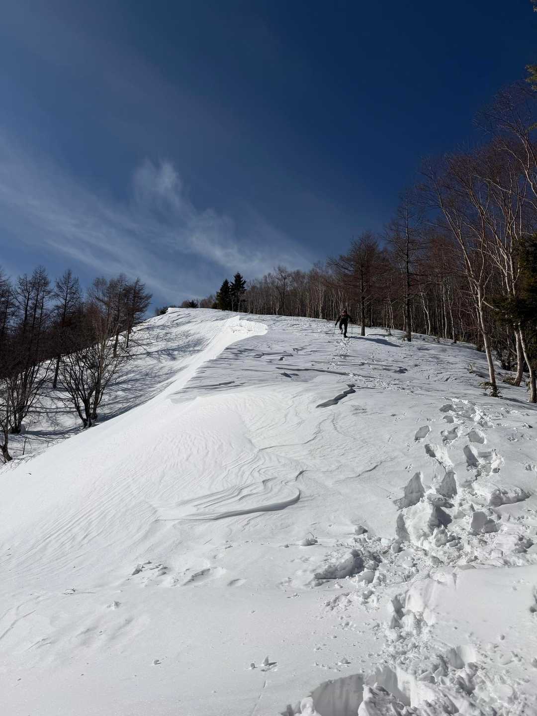 恵那山 / あきひろさんの恵那山・大判山・神坂山の活動データ | YAMAP