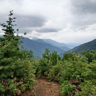 振り返ると金城山はギリギリ山頂が見える