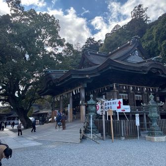 御本宮。ここまで石段785段を上がってきました。ここは古来から農業、殖産、医薬、海上守護の神として仰がれています。　ここでほとんどの人はゴールで帰路につきますが、私はせっかくなので、もっと上に行きます。