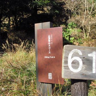 Aコース登山口👍