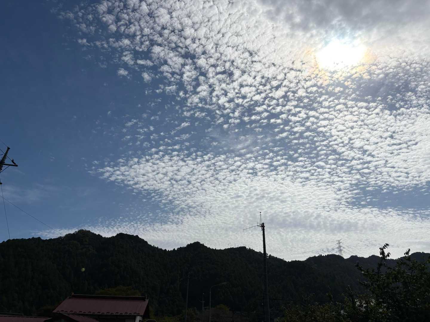 キラキラ✨️