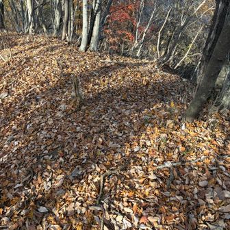 かなり分かりにくいですが、ココを右に曲がって降っていきます