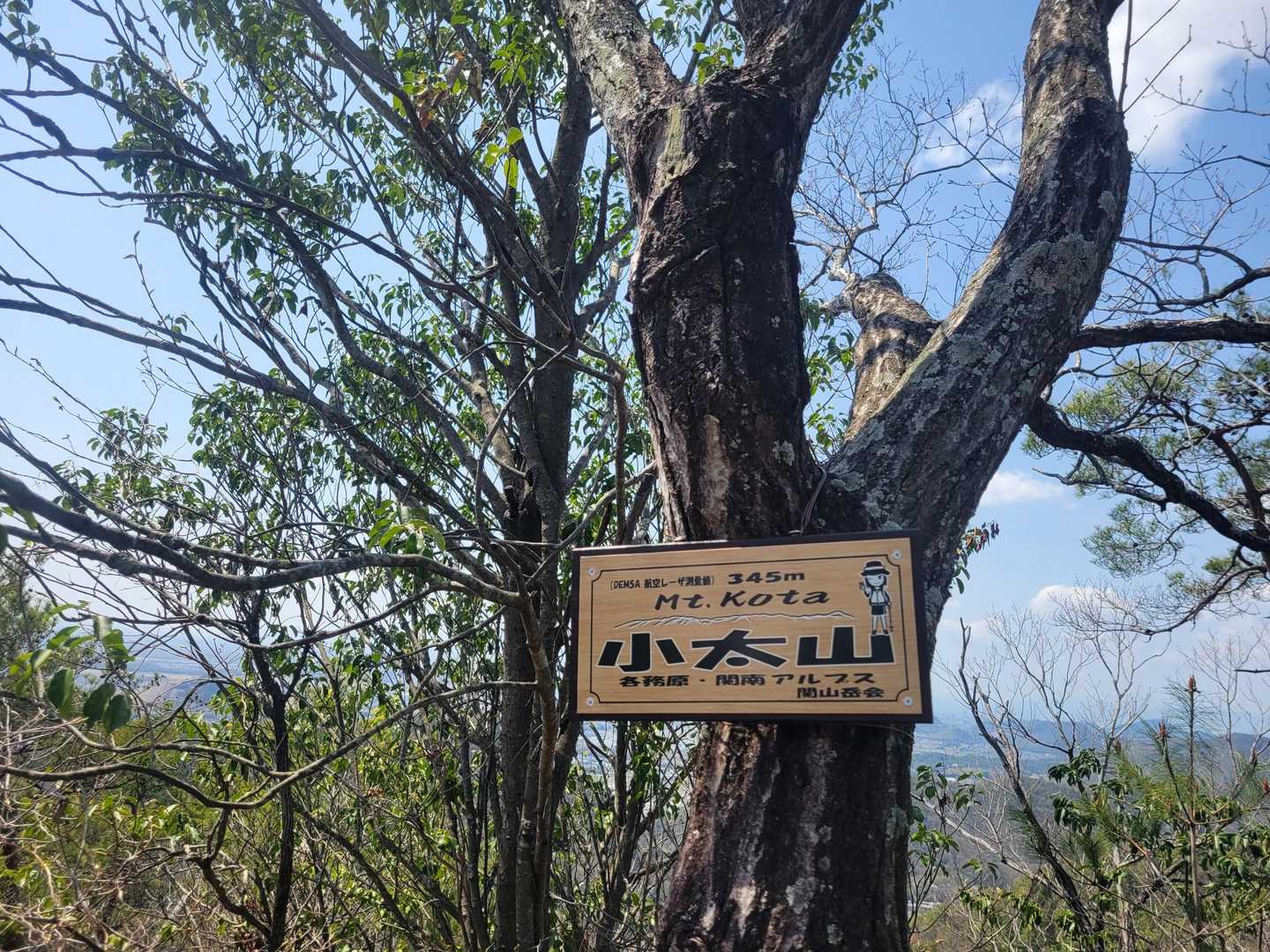 金山 往復コースの写真