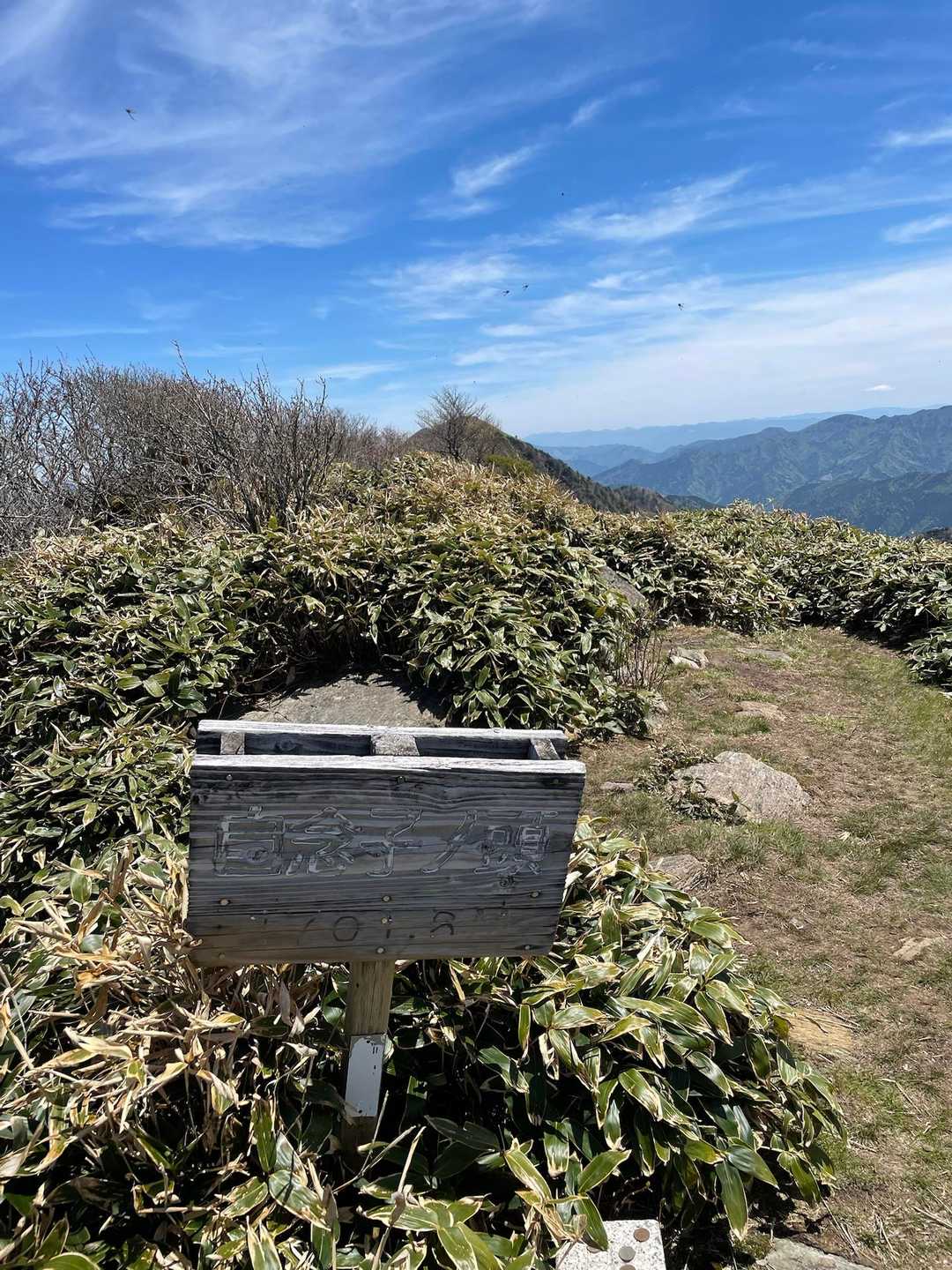 東黒森登山口-伊予富士-東黒森-自念子ノ頭 周回コースの写真