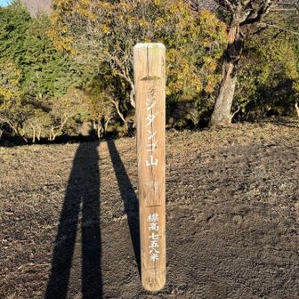シダンゴ山山頂。誰もいません。ここまで会った人も無し。