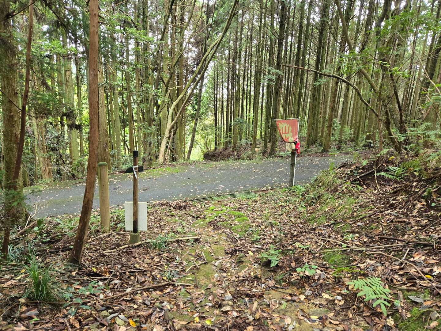 車道
ひとまず安心😂