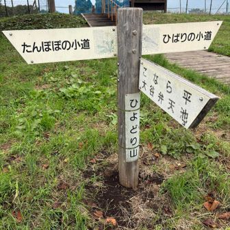 一応、これかな？

余談
北島三郎の大豪邸はこの近くにあるとか🏠
