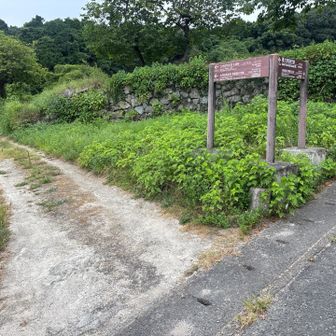 坂本神社から登ってきてここを左に入ってね。