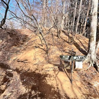 ん？分岐？？

いつの間にか『大岩』過ぎてた😓
全然気づかなかった😭