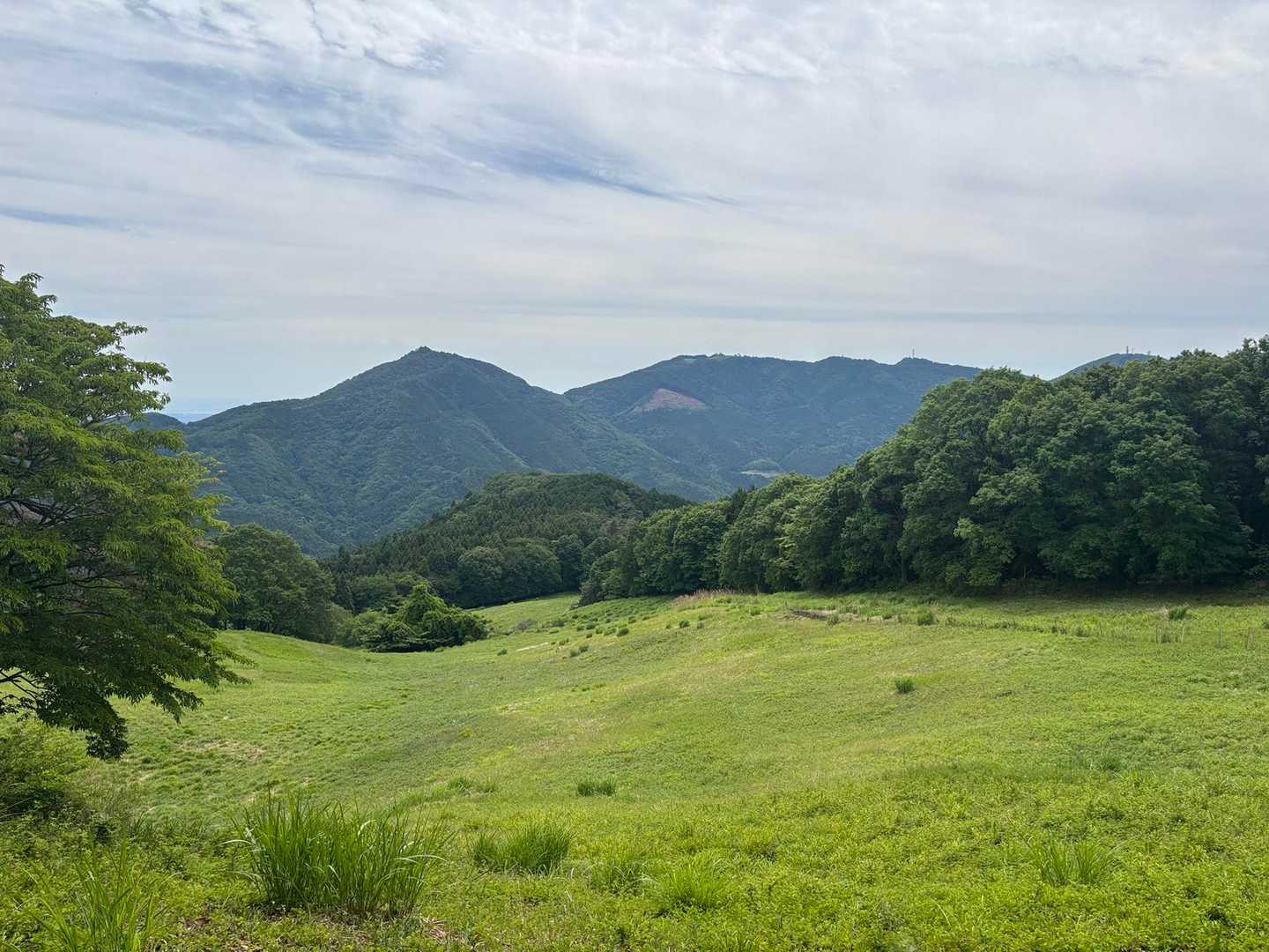経塚バス停-旧定峰峠-大霧山-大霧山登山口-二本木峠-愛宕 縦走コースの写真