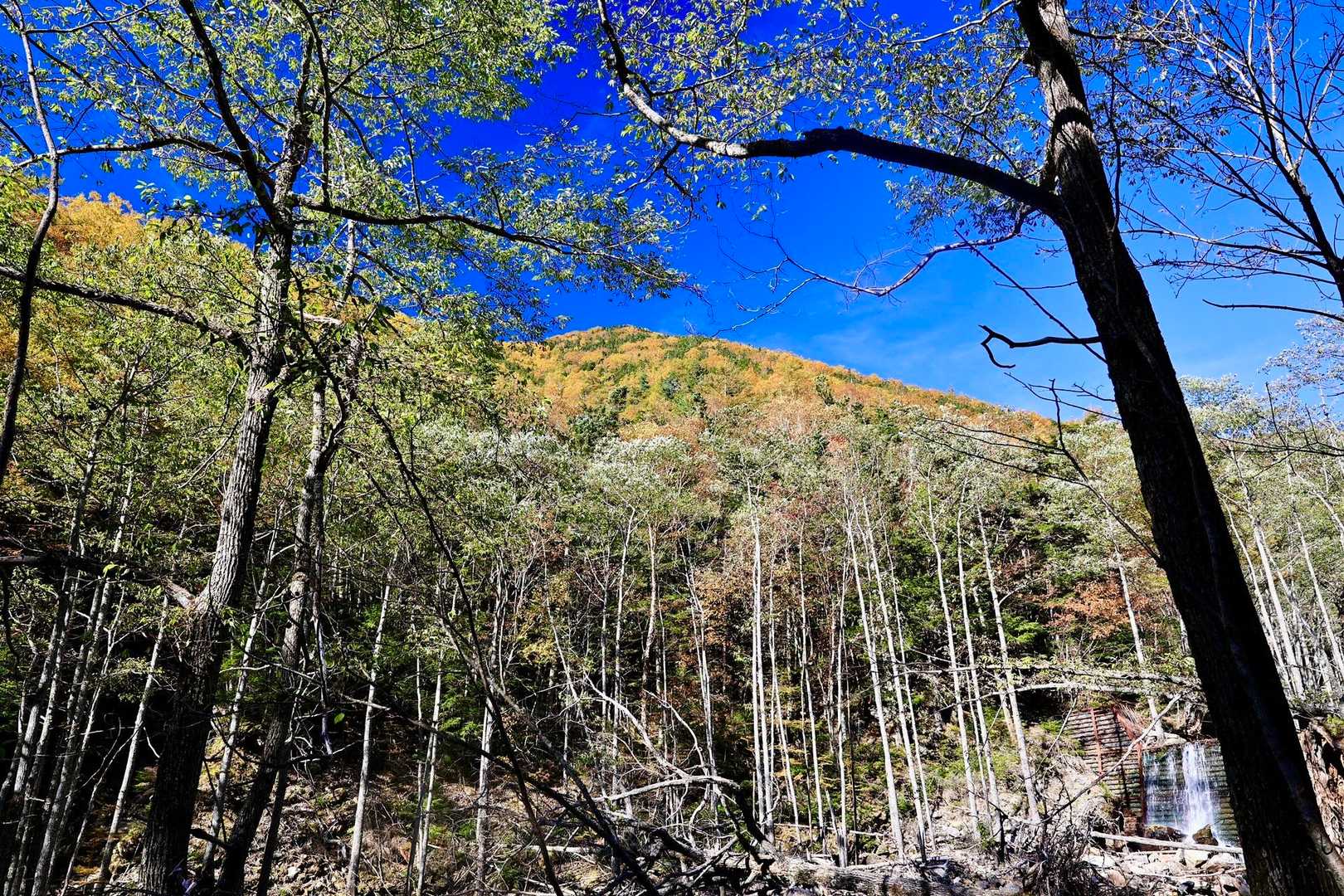 紅葉した山がキレイ
