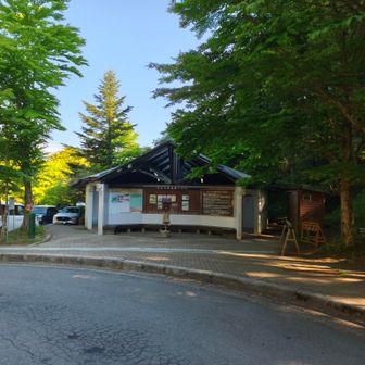 ヤビツ峠に到着
国道246から1:30もかかりました
峠走にしては荷物が重すぎて大変でした
峠走は1:00切れればフルマラソンサブ3の力があるとのこと。
バス到着前なのでまだあまり人はいません