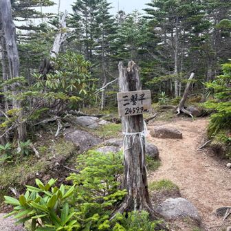 北奥仙丈岳へ