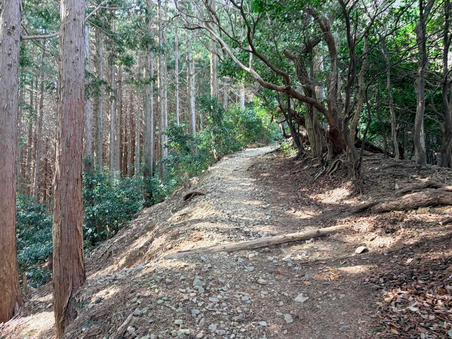 ここ人気ない里山と思いきや
駐車場には10台ほどあって