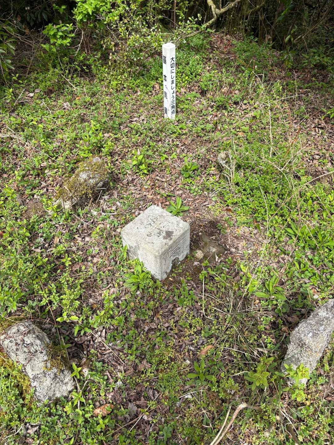 ここもずーっと登りだけど．あっという間に山頂✌️
山頂標識ないけど､ここピークみたい😊