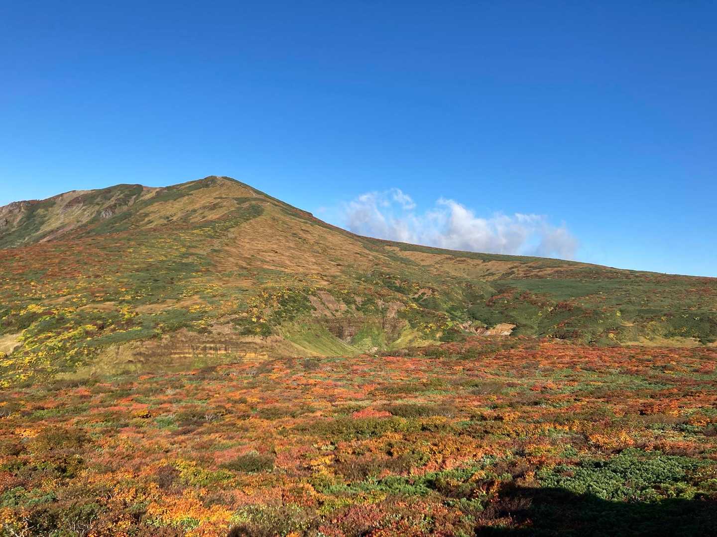 栗駒山 | 神の絨毯と称される圧倒的な紅葉美、山全体を染める極彩色のパノラマの写真