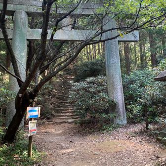 今日も宜しくお願いします