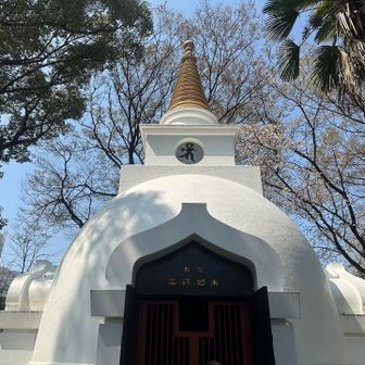 大仏山🙏
立派！！