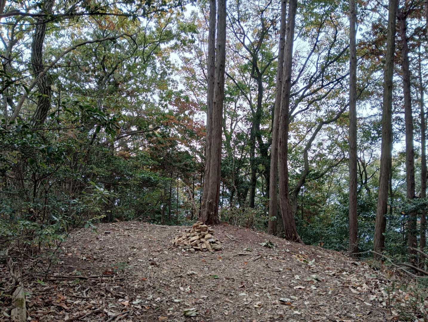 雌日和田山山頂全景。
夫と一緒なら間違いなく来ることはないので、確認できて満足。
ま、私ももう二度と来なくても良いかな😅