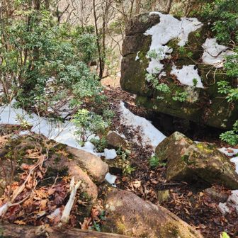 いきなり激下り↘↘
一度、軽く尻もちつきました🥲💦